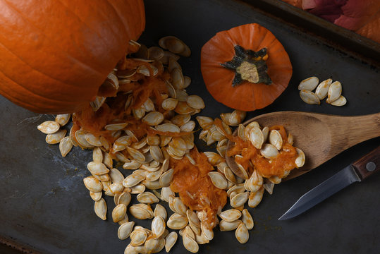 Pumpkin seeds from carved Jack o lantern