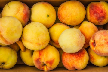 Fototapeta na wymiar Fresh Peaches