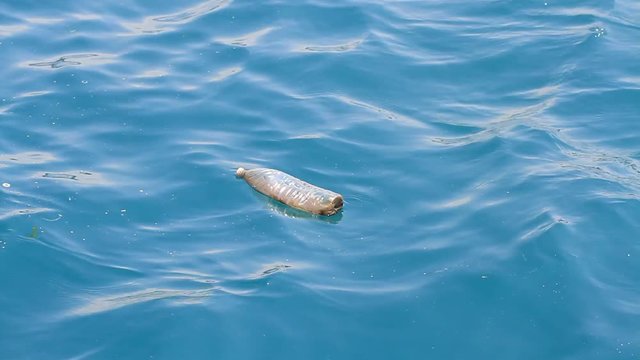 Used plastic bottle floating and polluting on water surface. 2,480,000 tons of bottles and jars were thrown away in 2008. Ten percent of the plastic produced every year worldwide winds up in the ocean