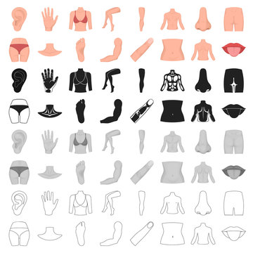 Part of body set icons in cartoon style. Big collection of part of body vector symbol stock illustration