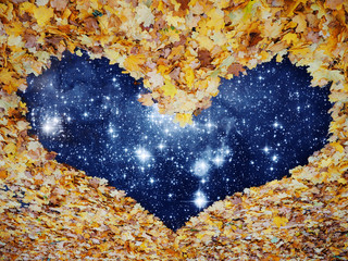 Heart from yellow autumn maple leaves road to universe