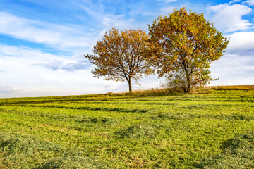 Landscape in autumn