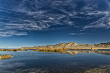 Horizontal Color Image of reflection and mountain and Marsh in Nevada USA