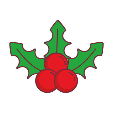 mistletoe icon image