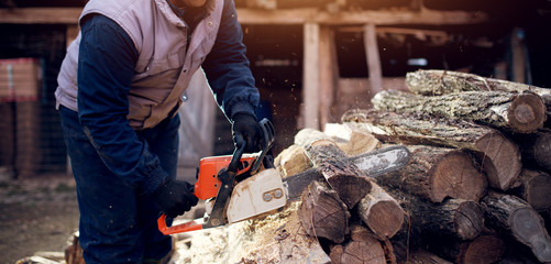 Professional lumberjack cutting tree wearing protection clothes using a chainsaw.