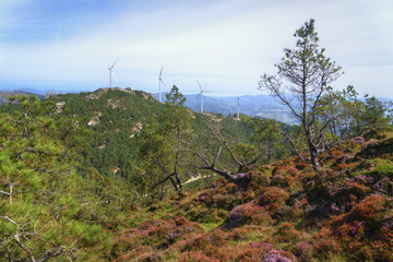 Wind turbines on the peaks