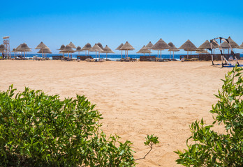 beach umbrellas, chaise lounges, sand, plants on the seashore