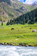 Beautiful valley of Altyn Arashan, Kyrgyzstan