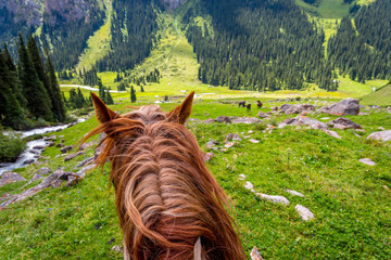 View over valley from the horse back, Kyrgyzstan - obrazy, fototapety, plakaty