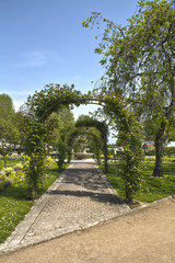 arches twined with roses in the park - 178248337