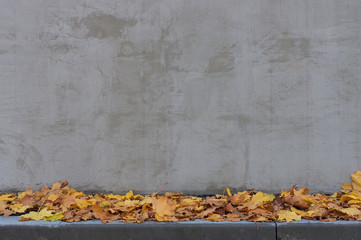 Background of gray vertical wall with fallen leaves ideal for your text or picture