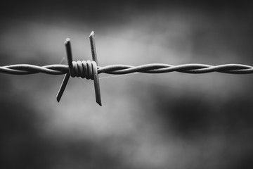 Stacheldraht in Schwarz Weiß