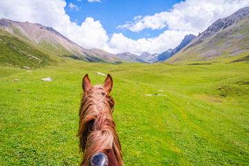 View over valley from the horse back, Kyrgyzstan