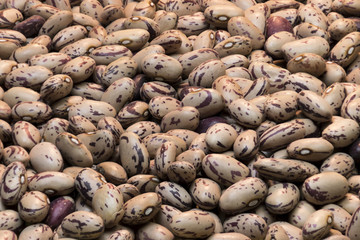Detail view of black beans