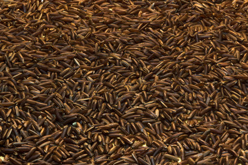 Detail view of red rice