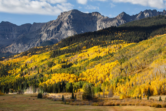 The Scenic Beauty of the Colorado Rocky Mountains - Autumn on the Dallas Divide