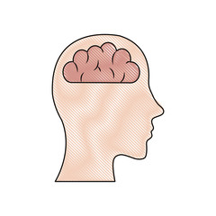 human brain icon