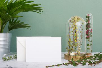 Horizontal greeting card mockup background surrounded by plants in terrariums