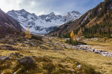 Herbstlandschaft in den Bergen mit Gletscher im Hintergrund