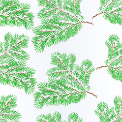 Seamless texture spruce branch lush conifer winter snowy natural background vector illustration editable hand draw