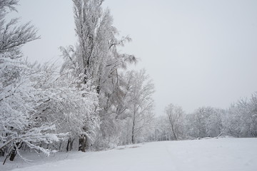 Winter landscape in the park with details