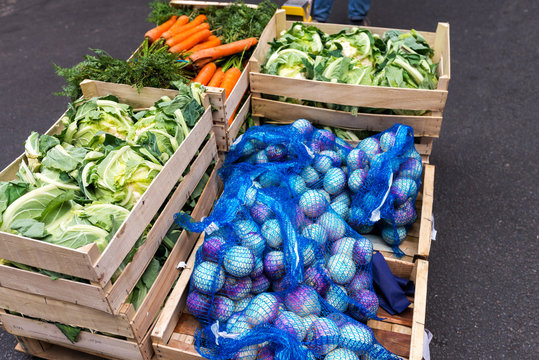 palette de l&eacute;gume