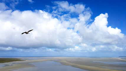 View of Mont Saint Michel