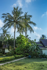 Fototapeta na wymiar Cottages on the Bay in a tropical garden