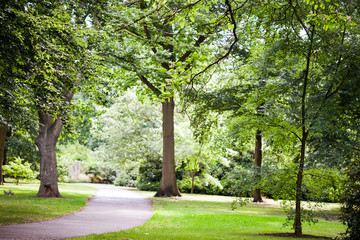 Fototapeta na wymiar View from Kew Gardens, Royal Botanical Gardens in London 