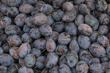 Plums on a market stall