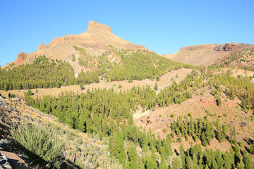 Fototapeta na wymiar El Teide National Park on Tenerife Island, Canary Islands, Spain