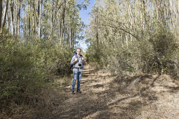 Obraz premium Hiker in the woods