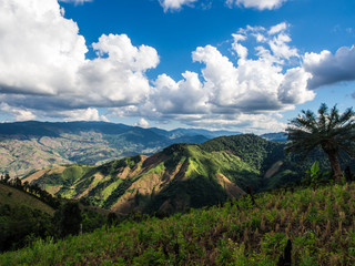 The go green landscape of beautiful nature where the mountain still plentiful of trees and the blue sky is composed of the great cloud. This is the trekking place at Doi Phu Wae, Nan, Thailand