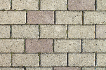 Wall of gray and purple bricks for the background.