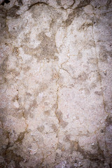 An old real wall texture & colored background
