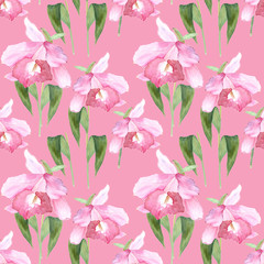 Pink orchid, cattleya on pink background. Seamless watercolor pattern