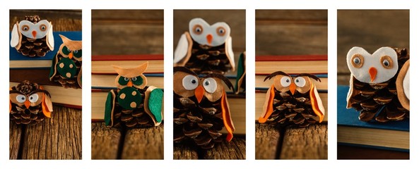 Owls in pine cone