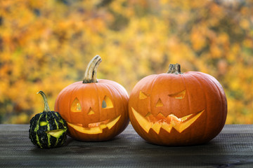 halloween pumpkin on autumn leaves background