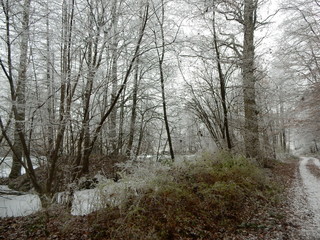 Winterlandschaft