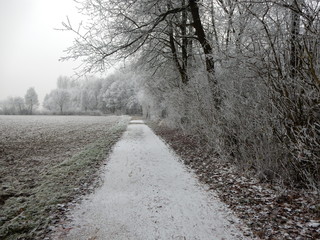 Winterlandschaft