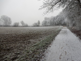 Winterlandschaft