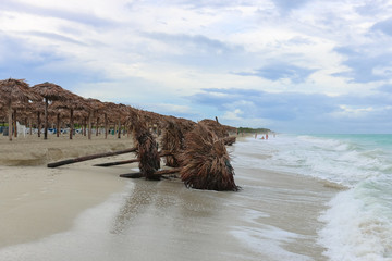 Fallen sunshades on the beach, Cuba, Varadero