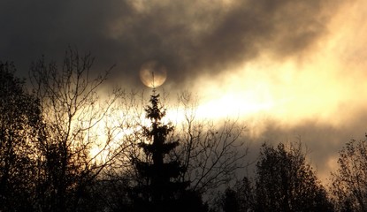 Dawn in the clouds .
