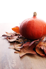 Thanksgiving background: pumpkins and fallen leaves on wooden background. Halloween, Thanksgiving day or seasonal autumnal