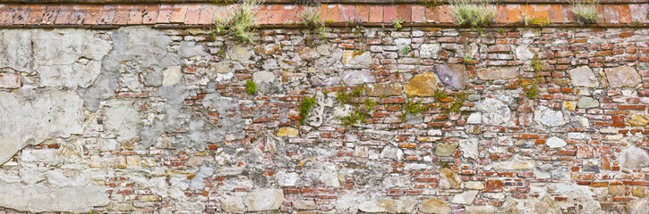 alte Parkmauer in der Toskana