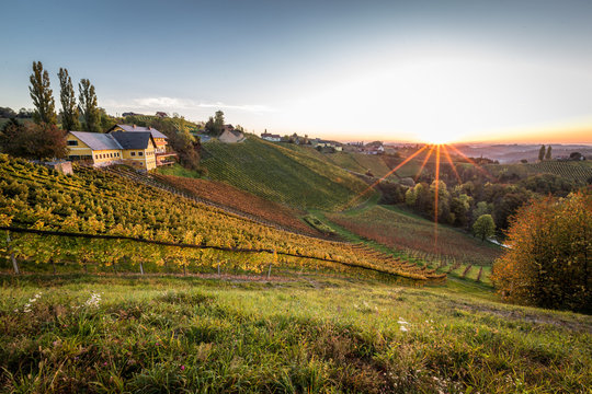 Sonnenaufgang in der Steiermark mit Blick auf die Weinberge