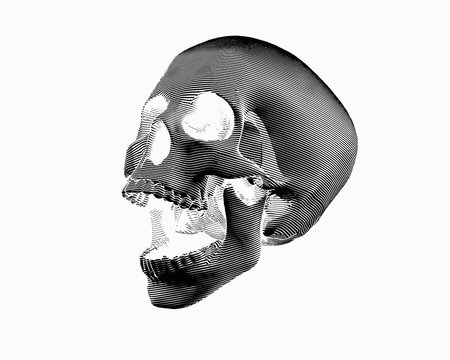 Naklejki Engraving skull illustration scream on white BG