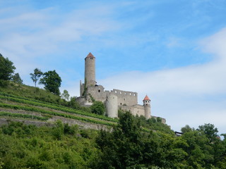 Fototapeta na wymiar Burg Hornberg Neckarzimmern