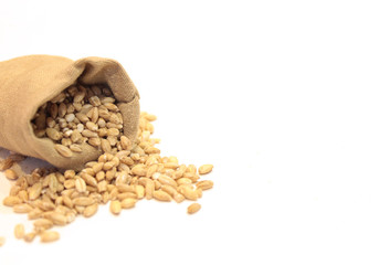 millet in a bag