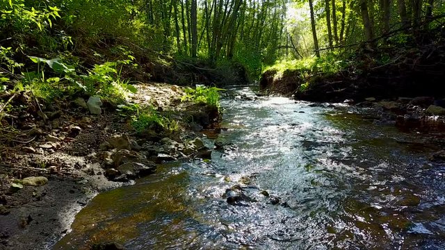 A flight over a beautiful stream in the forest